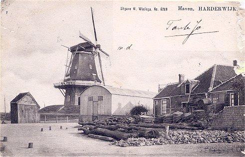 1, Molen 06425 a De Meermin / De Hoop (Harderwijk), Ansichtkaart, afstempeling 12-9-1904, coll.P.van den Berg | Database Nederlandse molens media-bestand
