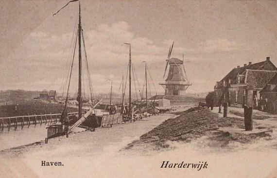 2, Molen 06425 a De Meermin / De Hoop (Harderwijk), Ansichtkaart | Database Nederlandse molens media-bestand