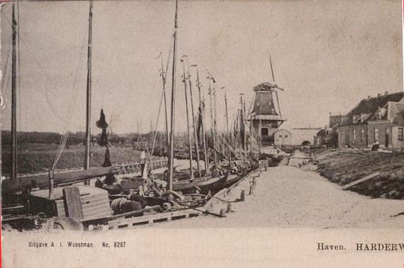 4, Molen 06425 a De Meermin / De Hoop (Harderwijk), Ansichtkaart | Database Nederlandse molens media-bestand