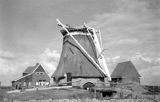 2, Molen 03045 Noordermiedpolder (Hallum), Foto: n.n., 18 sept. 1955 (coll. Dick Bunskoeke) | Database Nederlandse molens media-bestand