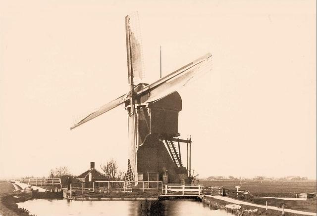 1, Molen 01789 bis u Alphen-Grootepolder, De Groote Molen (Alphen aan den Rijn), Foto: coll. DHM | Database Nederlandse molens media-bestand