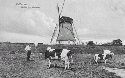 2, Molen 01763 c Boezemmolen No. 1 (Rotterdam, stadsdeel Kralingen-Crooswijk), Ansichtkaart, collectie Rob Pols | Database Nederlandse molens media-bestand