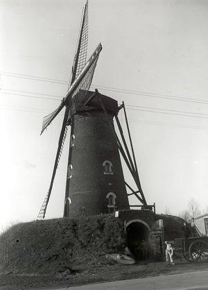 Molen 01937 Door den berg / Molen V.d. Bosch (Boekel), Foto:n.n.Beeldcollectie N-Br, ingestuurd door Rolf Vonk | Database Nederlandse molens media-bestand