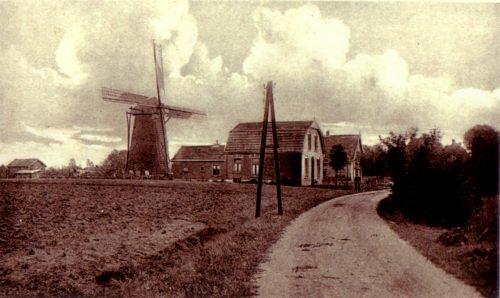 1, Molen 02670 Buursermolen / De Korenbloem (Buurse), Ansichtkaart, collectie G.H. Varwijk, coll DVM | Database Nederlandse molens media-bestand