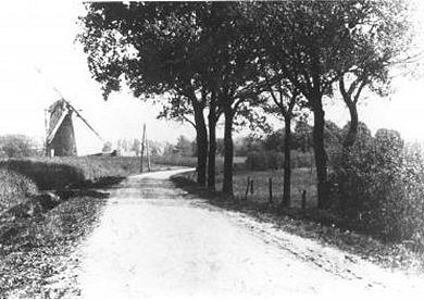 2, Molen 02670 Buursermolen / De Korenbloem (Buurse), Foto: opname 1913 | Database Nederlandse molens media-bestand