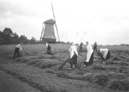 1, Molen 02671 Molen de Vrede (Enschede), Foto: n.n., coll. F.Leferink | Database Nederlandse molens media-bestand