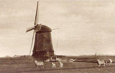 Molen 00353 Westerkamperpolder ('t Veld), Fotograaf onbekend (coll. P. van den Berg) | Database Nederlandse molens media-bestand