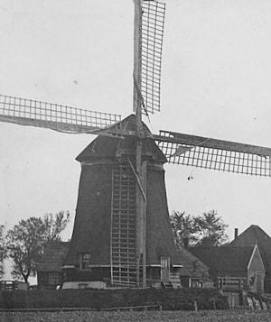 Molen 02557 Ringpolder, oostelijke molen (Dirkshorn), Detail prentbriefkaart (Allemolens.nl) | Database Nederlandse molens media-bestand