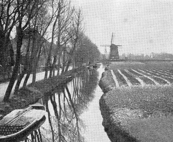 1, Molen 02557 Ringpolder, oostelijke molen (Dirkshorn), Foto in NH in woord en beeld, april 1926 | Database Nederlandse molens media-bestand