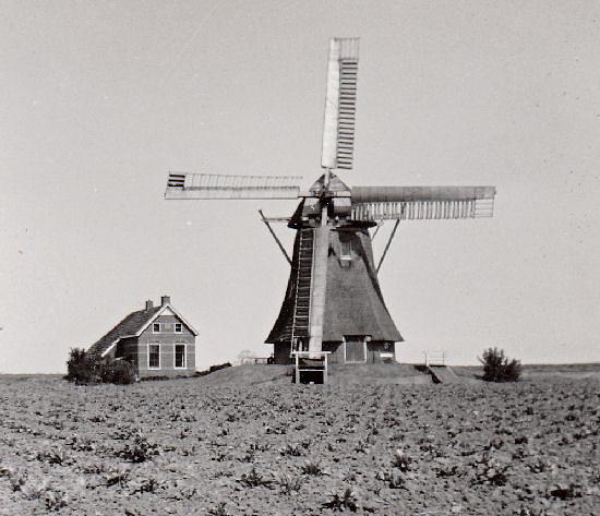 1, Molen 00524 Oostelijke Bedumerpolder, De Phoenix / Krimstermolen (Bedum), Foto: J. Groenewold, opn 1968, de mulderswoning is rond 1970 gesloopt | Database Nederlandse molens media-bestand