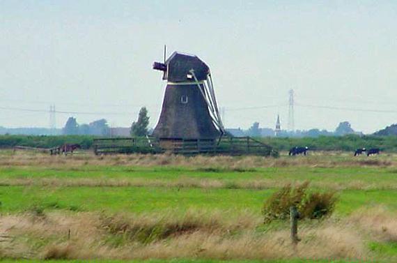 2, Molen 06439 Polder De Nije Borgkrite / Polder 106 (2e), Borgmolen (Grouw/ Grou), Foto: Marnix Bogaert, opname 22 juli 2002 | Database Nederlandse molens media-bestand