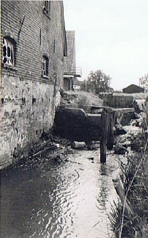 Molen 01823 Wisselse Korenmolen (Epe), Ansicht serie 5 nr 49 opname zomer 1969, Vrienden van de Veluwse Waterradmolens, coll NSR | Database Nederlandse molens media-bestand