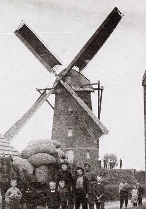 Molen 01644 a Oostmolen (Rijen), Detail van prentbriefkaart (Allemolens) | Database Nederlandse molens media-bestand