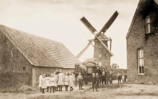 2, Molen 01644 a Oostmolen (Rijen), Afbeelding onbekend | Database Nederlandse molens media-bestand