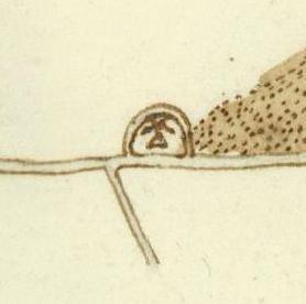 Molen 03812 Polder 65 (Broek/ De Broek), Detail kaart van ca. 1750 | Database Nederlandse molens media-bestand