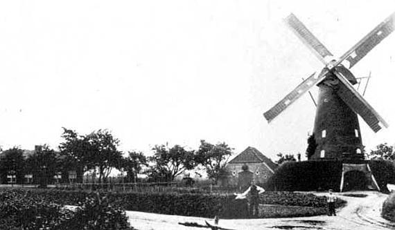 1, Molen 02883 a Molen van Bast (Laren), Afbeelding van de beltmolen | Database Nederlandse molens media-bestand