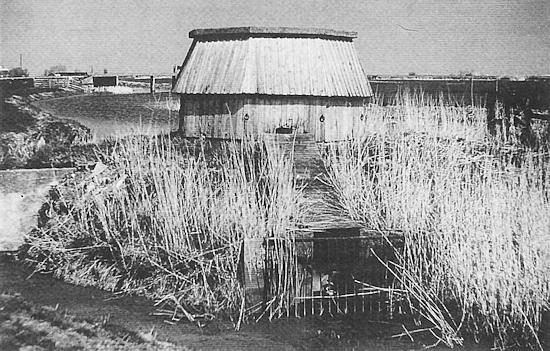 1, Molen 03163 Polder 33/ Polder Westerend, Westerendsmolen (Workum/ Warkum), Foto: J.E. Brunsmann, 1984 | Database Nederlandse molens media-bestand