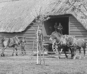 Molen 16230 Geupel van Felix Willems (Eede), Foto (uitsnede): K. Uilkema, 1932 (beeldbank RCE) | Database Nederlandse molens media-bestand