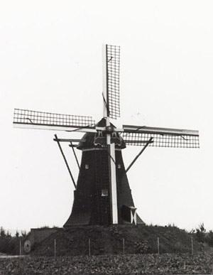 Molen 12266 De Grauwe Beer (Beesel), Foto: coll. DHM | Database Nederlandse molens media-bestand