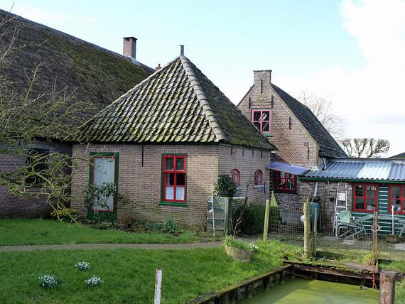 1, Molen 17338 (karnmolen) (Weipoort), Foto: Peter van der Drift, 5 maart 2016 | Database Nederlandse molens media-bestand