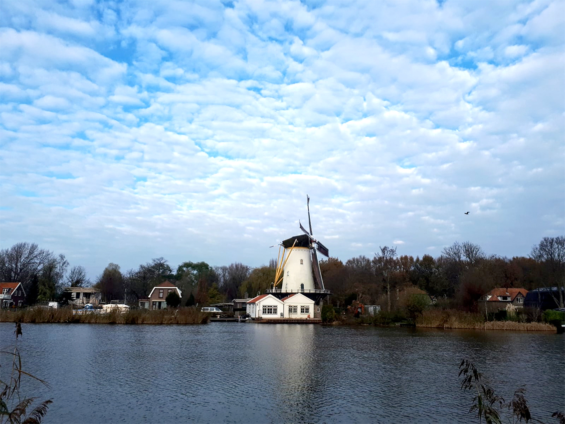 Molen De Vier Winden, Rotterdam | Nederlandse Molendatabase