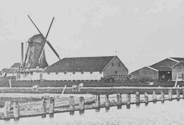 Molen De Groene Ridder / De Jonker, Zaandam-West | molendatabase
